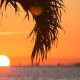 Island Hopping Through The Florida Keys: 5 Must Dos